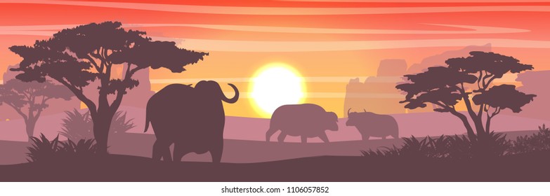 A herd of African black buffalo in the savannah. Grass and acacia trees. Vector landscape. Nature and animals of Africa. Reserves and national parks. Silhouettes of animals and plants 