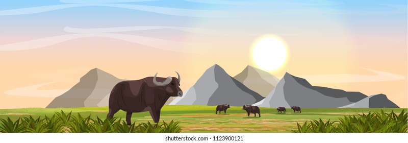 A herd of African black buffalo in the savannah. Mountains on the horizon. Realistic vector landscape. Nature and animals of Africa. Reserves and national parks.