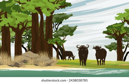 A herd of African buffalo walks along the shore of a lake in a baobab grove. Wildlife of Africa. Realistic vector landscape