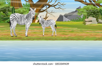 1 051件の サバンナシマウマ のイラスト素材 画像 ベクター画像 Shutterstock