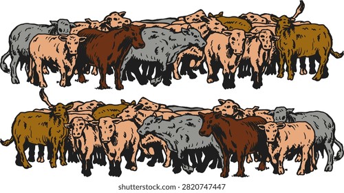 A herd of cattle and calves in a vintage engraving style, displayed in two horizontal rows, isolated on white background.