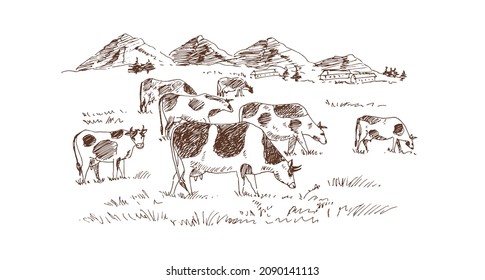 A herd of cows against the backdrop of a mountain alpine landscape. Vector illustration, sketch.