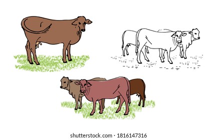 Herd of cows, cow, set of vector illustrations of farm animals, isolated on a white background.