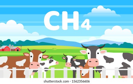 herd of cows in field emits methane ecology farming concept