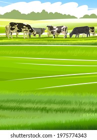 A herd of cows grazes among the rural hills. Pastures. Meadows and fields. Rustic village landscape. Farm work. Vector