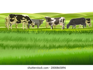 A herd of cows grazes among the rural hills. Pastures. Meadows and fields. Rustic village landscape. Farm work. Isolated on white background.  Vector