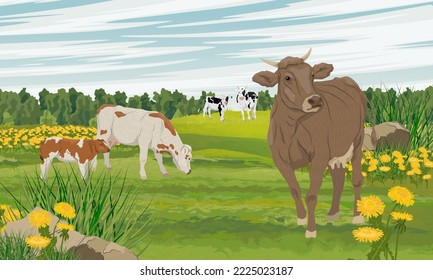 Herd of cows grazing in the meadow. Summer meadow with green grass and blooming flowers. Farm and farm animals. Realistic vector landscape