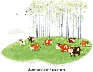 Herd of cows grazing on meadow on birches background