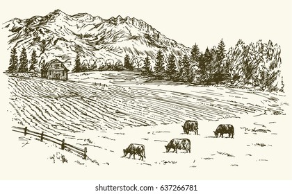 Herd of cows grazing on meadow. Idyllic landscape with mountains.