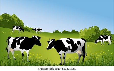 Herd of cows at green field