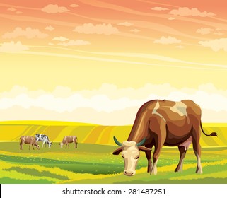Herd of cows in green field on a sunset sky. Vector rural summer landscape. 