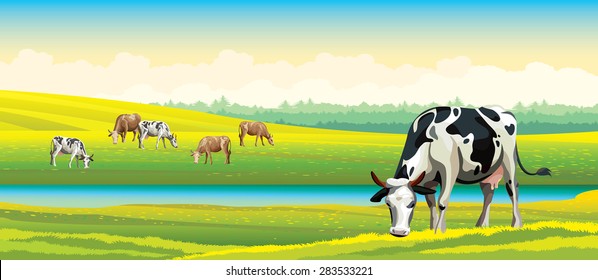 Herd of cows in green field on a cloudy sky. Vector rural landscape.