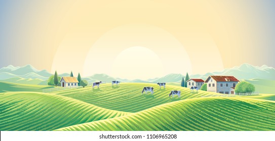 Rebanho de vacas no verão paisagem rural ao amanhecer entre campos e pastagens. Ilustração vetorial.