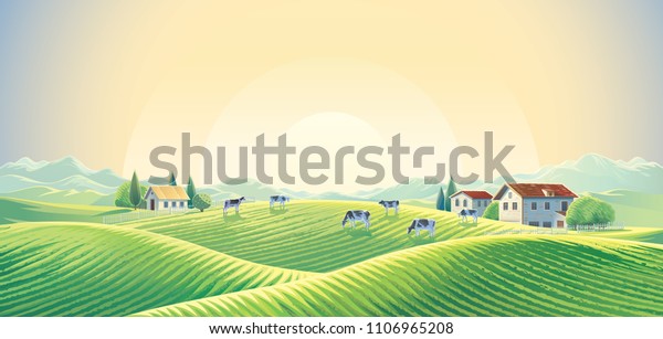 夏の田園風景の夜明けに 野原や牧草地の中で牛の群れが見られる ベクターイラスト のベクター画像素材 ロイヤリティフリー