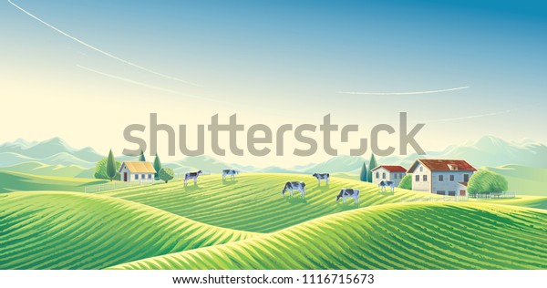 夏の田園風景の夜明けに 野原や牧草地の中で牛の群れが見られる ベクターイラスト のベクター画像素材 ロイヤリティフリー