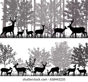 A herd of deer in silhouettes on the background of trees