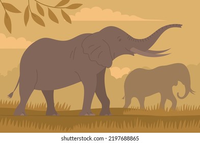 Herd of elephants. African elephant with trunk and tusks. Large herbivorous mammal. Zoo wild animal. Wild savanna landscape. Wildlife and zoo. Nature and fauna. Cartoon vector illustration