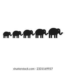 A herd of elephants standing in a row. Holding their trunks by their tails.
