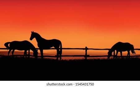 herd of farm horses grazing at meadow behind wooden fence - sunset evening scene on the ranch vector silhouette design