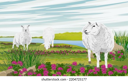 Un rebaño de ovejas blancas mullidas están pastoreando en un floreciente prado de verano. Agricultura y animales de granja. Paisaje vectorial realista