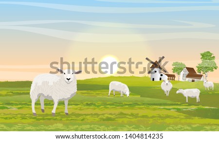Similar – Image, Stock Photo Meadow with sheep and Mont Saint Michel in background