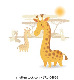 Herd of funny giraffes in savanna for babies design