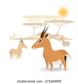 Herd of funny impala antelopes in savanna for babies design