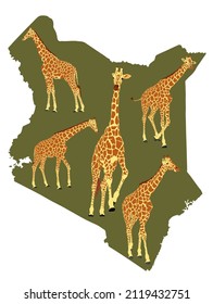 Herd of giraffe over Kenya map vector silhouette illustration isolated on white background. Safari tourist invite to explore wildlife of Kenya. Tall Animal giraffe, symbol of Africa.