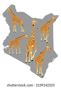 Herd of giraffe over Kenya map vector silhouette illustration isolated on white background. Safari tourist invite to explore wildlife of Kenya. Tall Animal giraffe, symbol of Africa.