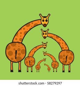 A herd of giraffes