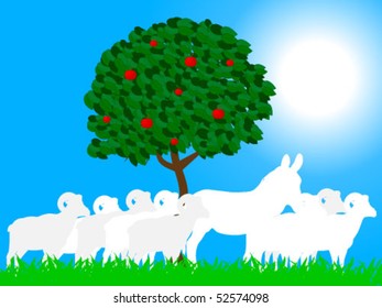 herd of goats on field