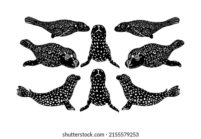 Herd Of Harbor Seal Vector Silhouette Illustration Isolated On White Background. Grey Seal Baby. Ocean Winter Animal Portrait. Walrus Cow Symbol. Sea Lion Flock Silhouette. Cold Ocean Water Animals.