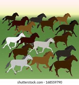 Herd of horses.