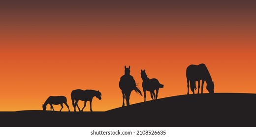 Herd of horses grazing on meadow in sunset vector illustration 