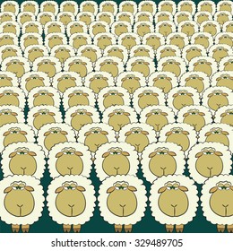 herd of hundreds of sheep 