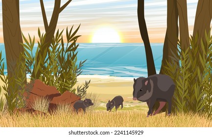 Herd of peccaries on the seashore. Realistic Vector Landscape
