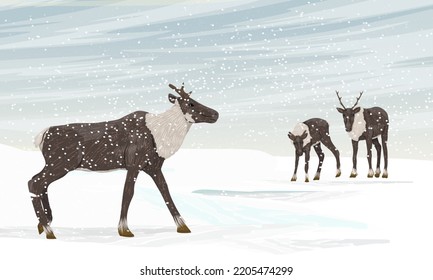 Herd of reindeer in a snow storm. Caribou in the Arctic. Realistic vector landscape