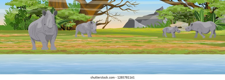 A herd of rhinos near a lake in the african bush. Wildlife of Africa. Big African Five. Realistic vector landscape with animals