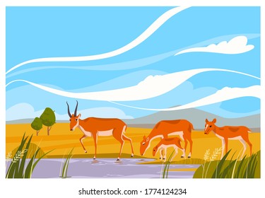 A herd of saiga antelopes in the steppe graze at a watering hole.