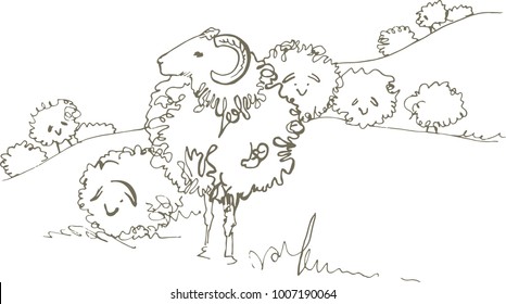 A herd of sheep in the hills. Fluffy sheep, like clouds