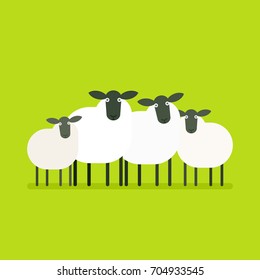 herd of sheep. Vector illustration