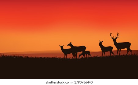 herd of wild deer and baby fawn grazing at sunset meadow with dramatic orange sunset sky - wildlife vector scene 