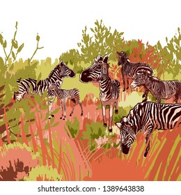 The herd of zebras sowing in steppe landscape . Vector graphics drawn in the technique of rough brush in calm colors