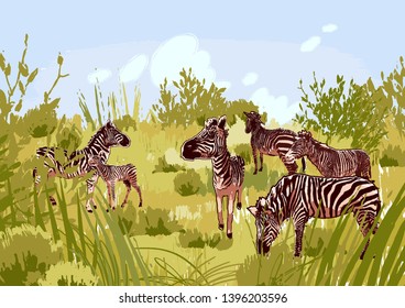 The herd of zebras sowing in steppe landscape. Vector graphics drawn in the technique of rough brush in calm colors