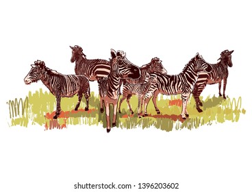The herd of zebras sowing in steppe landscape. Vector graphics drawn in the technique of rough brush in calm colors