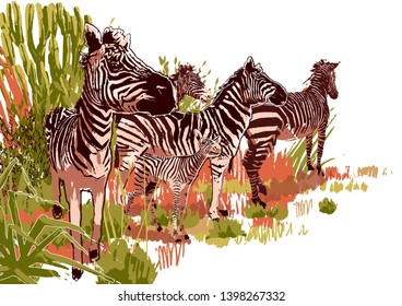 The herd of zebras sowing in steppe landscape. Vector graphics drawn in the technique of rough brush in calm colors
