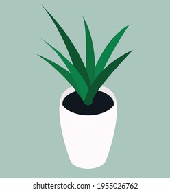 Acá una ilustración en 3d de una olla con planta verde