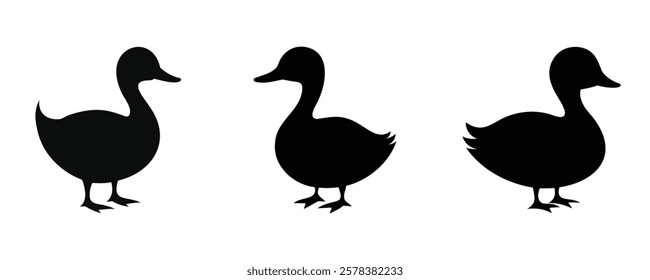 Here are 40 keywords for the title "Duck Silhouette Set Vector Design