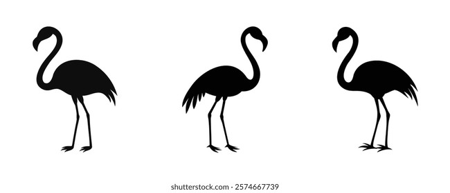 Here are 40 keywords for the title "Flamingo Silhouette Set Vector Design