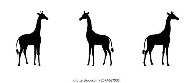 Here are 40 keywords for the title "Giraffe Silhouette Set Vector Design
